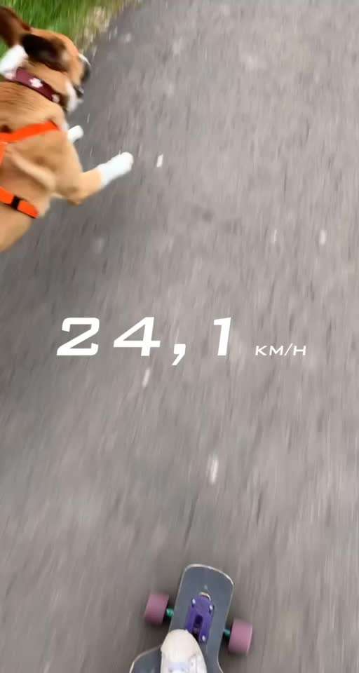 Fährt hier noch jemand mit seinem Liebling Skateboard oder Longboard ?-Beitrag-Bild