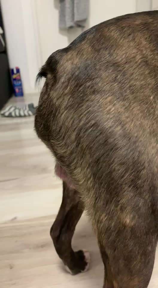 Beule unter dem After-Beitrag-Bild