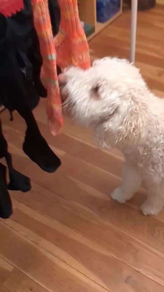 aktuelles Foto Gruppe Trickkiste