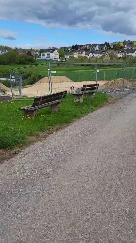 TierschutzhundeStammtisch🐕-Beitrag-Bild