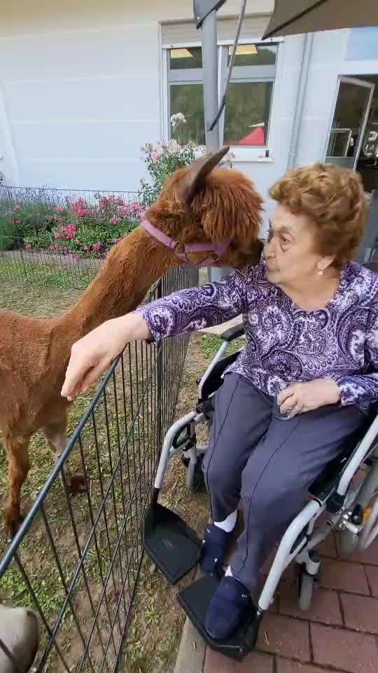 TierschutzhundeStammtisch🐕-Beitrag-Bild