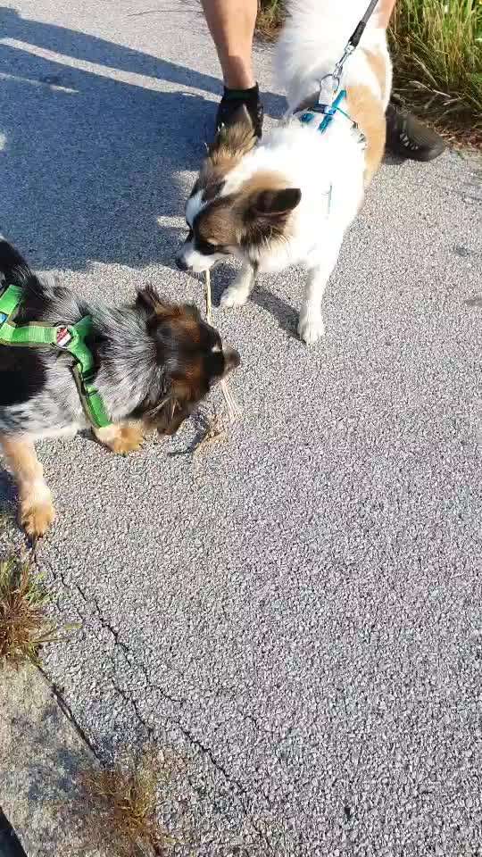 Bright side of life! Schönwetter-Thread-Beitrag-Bild