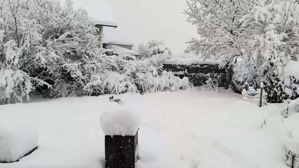 Was hat euch heute gefreut?-Beitrag-Bild