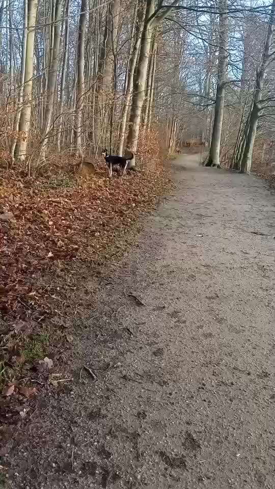 Trick Challenge ABC-Beitrag-Bild