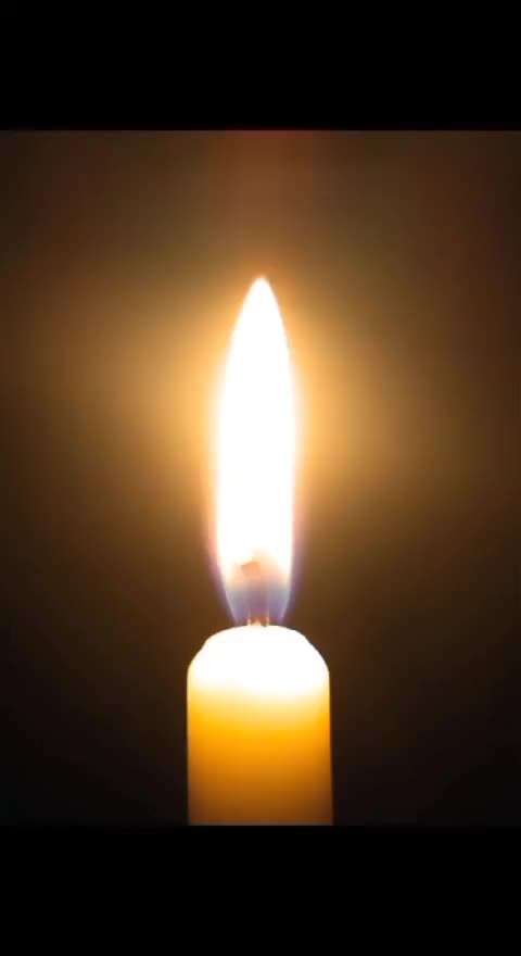 Action-Fun Hund- Aventskalender-Beitrag-Bild