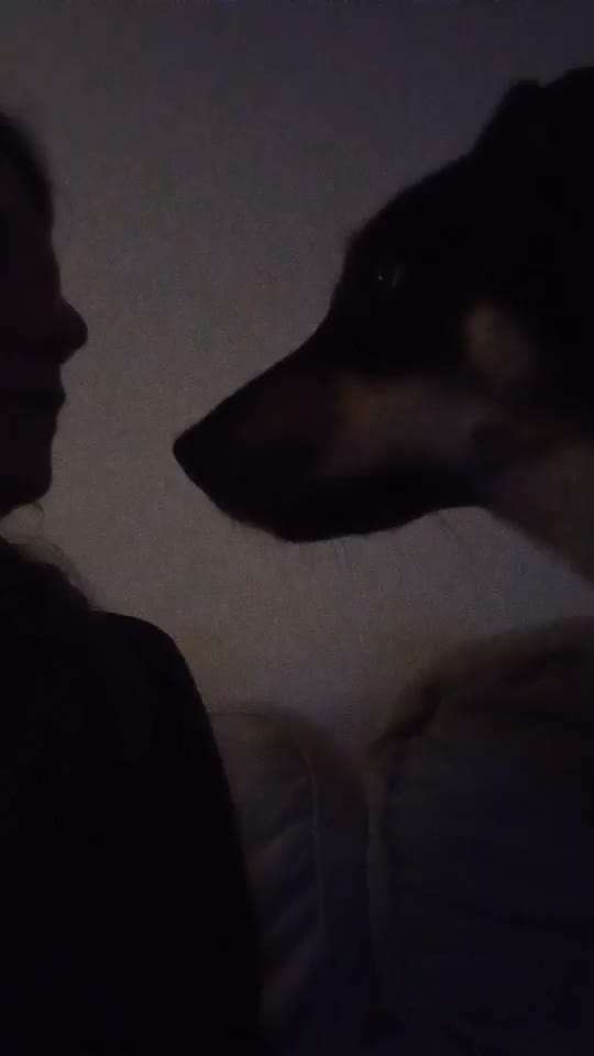 Trick Challenge ABC-Beitrag-Bild