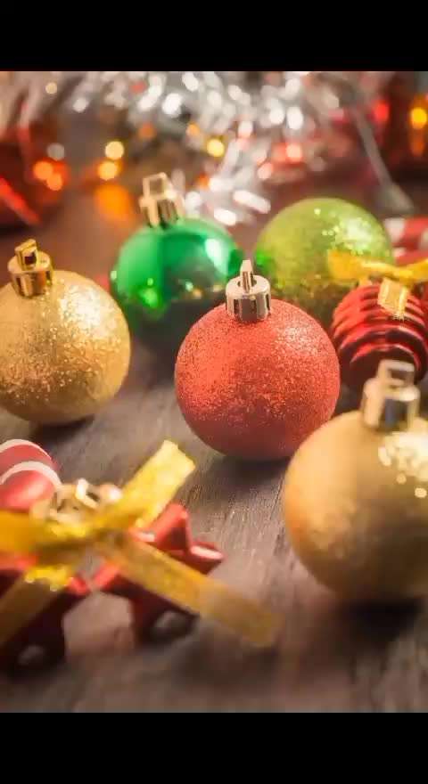 Action-Fun Hund- Aventskalender-Beitrag-Bild