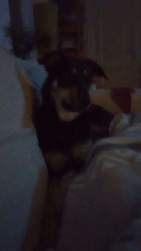 Trick Challenge ABC-Beitrag-Bild