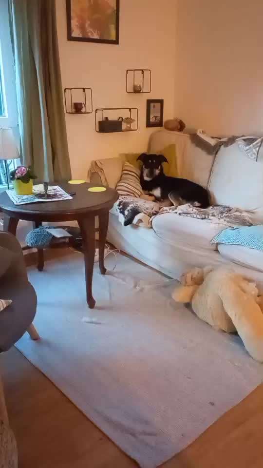 Trick Challenge ABC-Beitrag-Bild