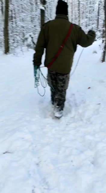 Samojede-Beitrag-Bild