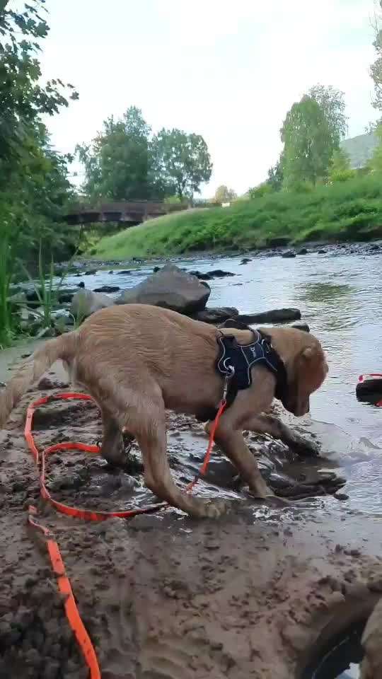 35. Handy Foto Challenge - Das nasse Element-Beitrag-Bild