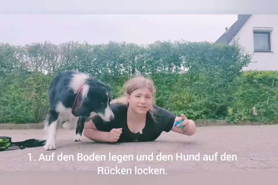 Trickdogging-Beitrag-Bild