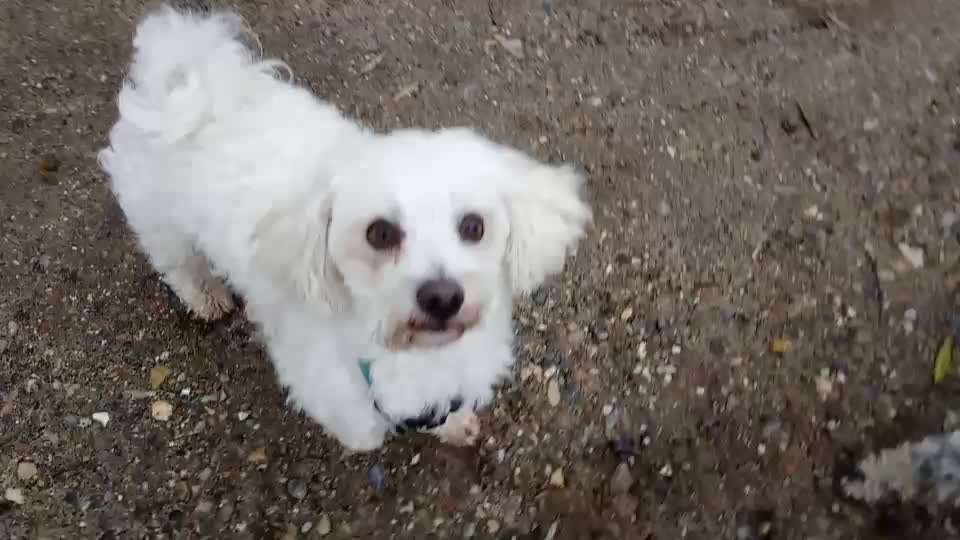 𝕋ℝ𝕀ℂ𝕂 ℂℍ𝔸𝕃𝕃𝔼ℕ𝔾𝔼 ℕℝ. 𝟙-Beitrag-Bild