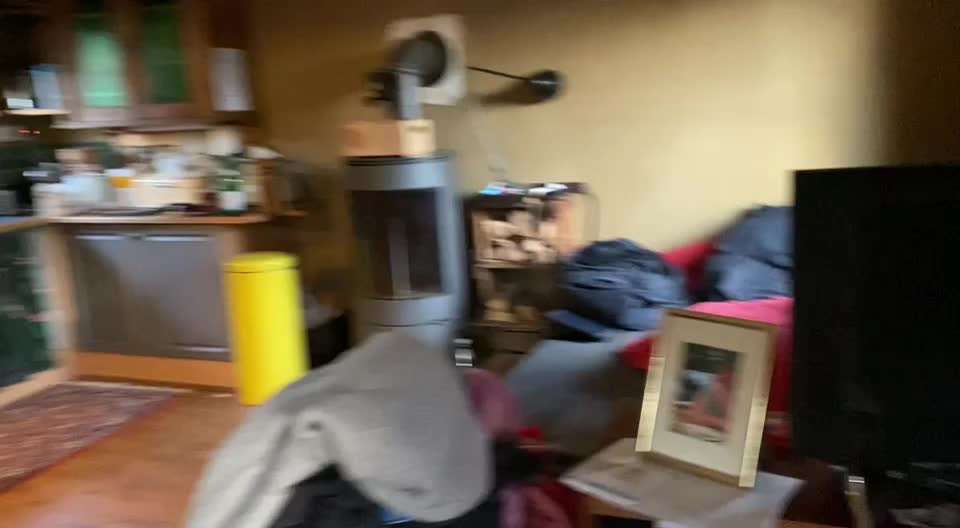 Miniatur Bull Terrier-Beitrag-Bild