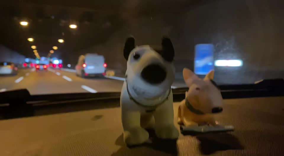 Miniatur Bull Terrier-Beitrag-Bild