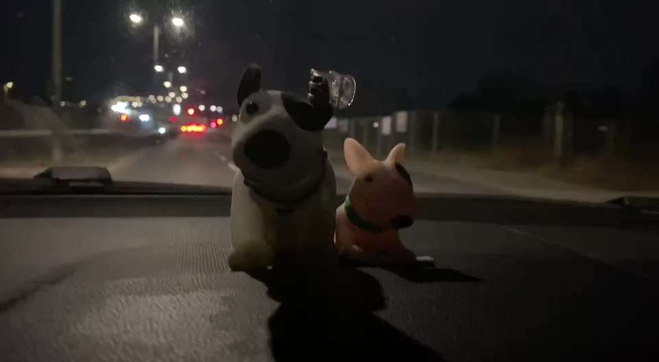 Miniatur Bull Terrier-Beitrag-Bild