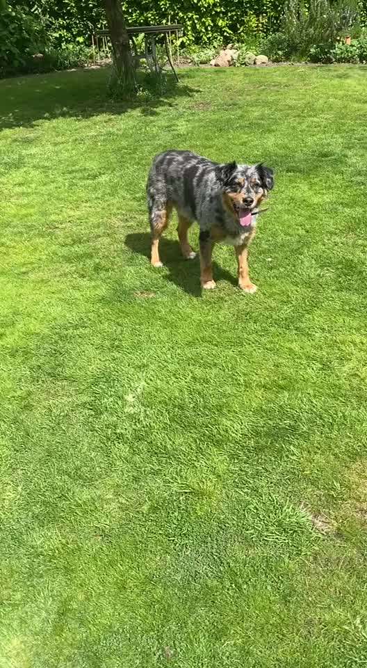 Handyvideochallenge Nr. 26 Gross und Klein-Beitrag-Bild