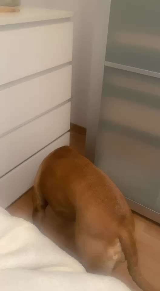 Was ist mit Amy los?-Beitrag-Bild