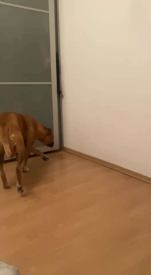 Was ist mit Amy los?-Beitrag-Bild