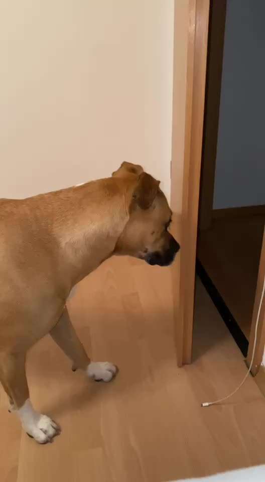 Was ist mit Amy los?-Beitrag-Bild