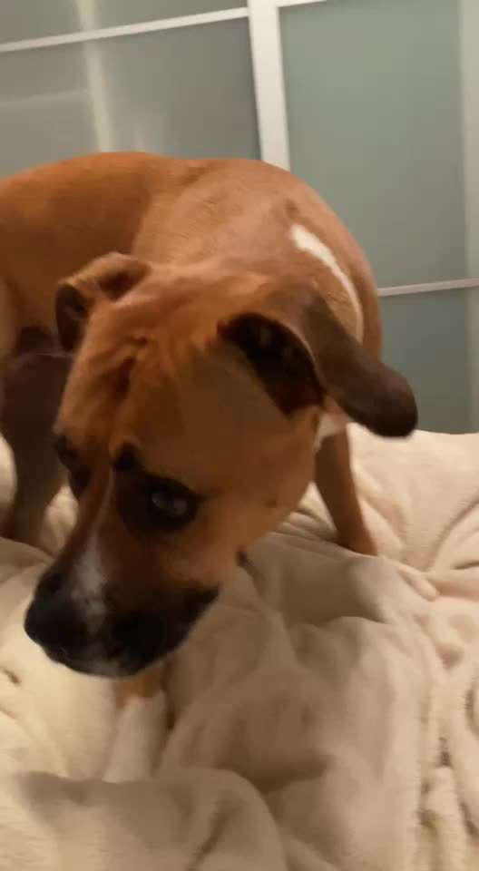 Was ist mit Amy los?-Beitrag-Bild