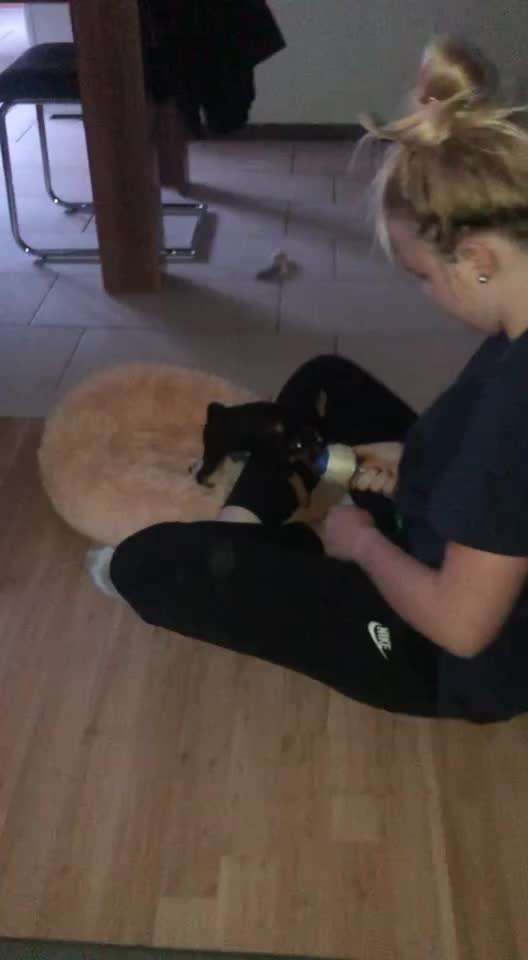 ...zeigt her das allererste Video das ihr von eurem Hund habt...-Beitrag-Bild