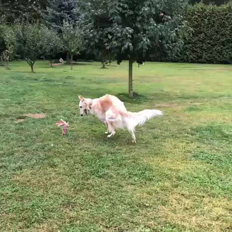 Pro und contra „Zerrspiele“-Beitrag-Bild