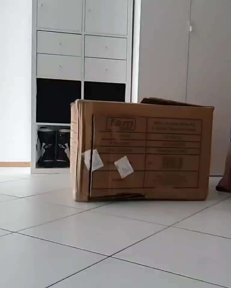 80. Foto  Challenge - Versteckt/ in einer Höhle-Beitrag-Bild