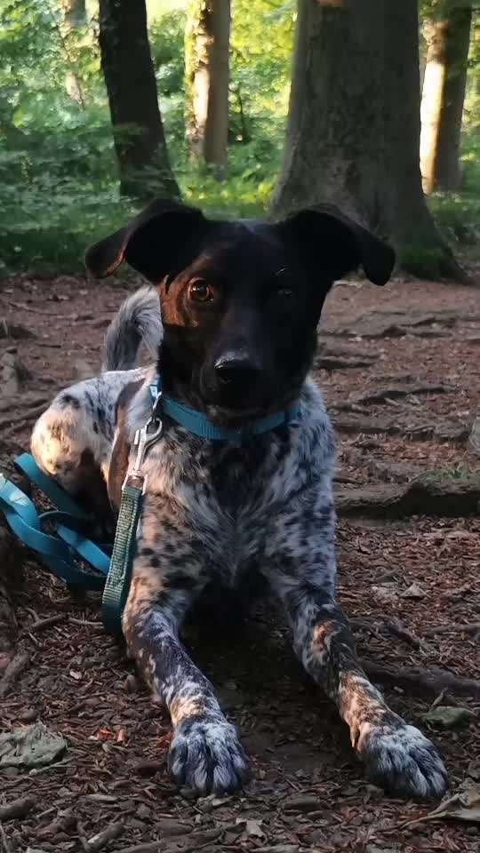 FUN AUFGABEN TOUR-Beitrag-Bild