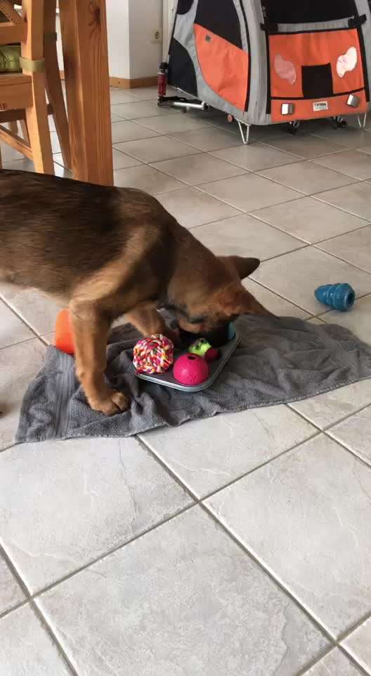 Geistige Förderung-Beitrag-Bild