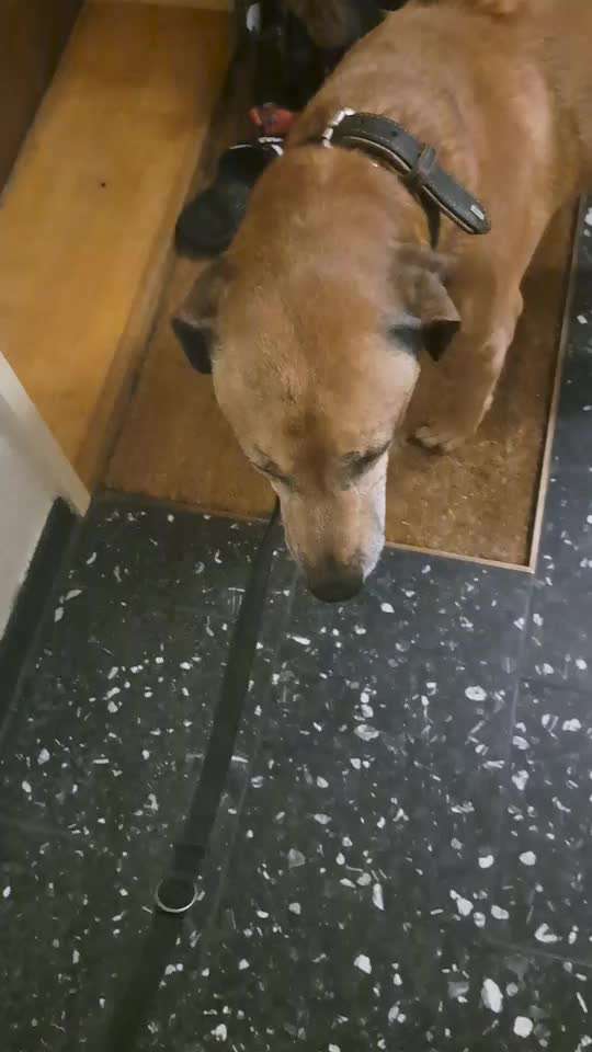 Schnupfen mit Blut und Schleim-Beitrag-Bild