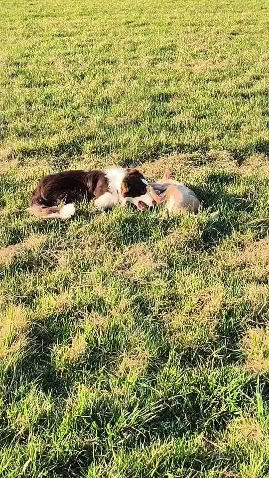 aktuelles Foto Gruppe Dresden-Übigau