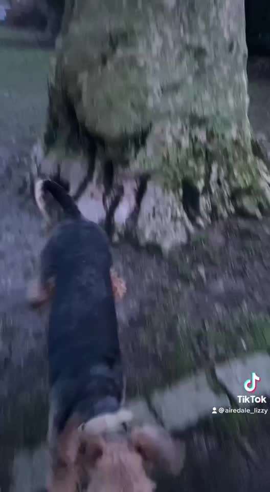 15. Video Challenge.  In SloMo die Welt erkunden!-Beitrag-Bild