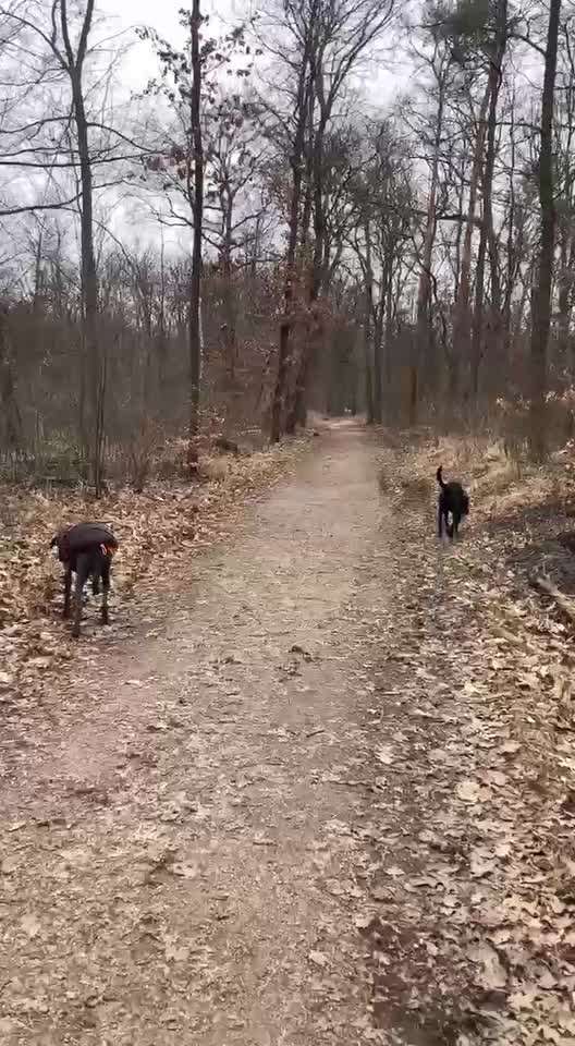 Analyse & Interpretation von Verhalten-Beitrag-Bild