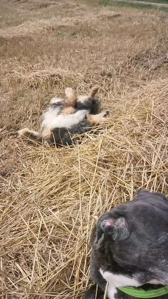 Vorher.... Nachher-Beitrag-Bild