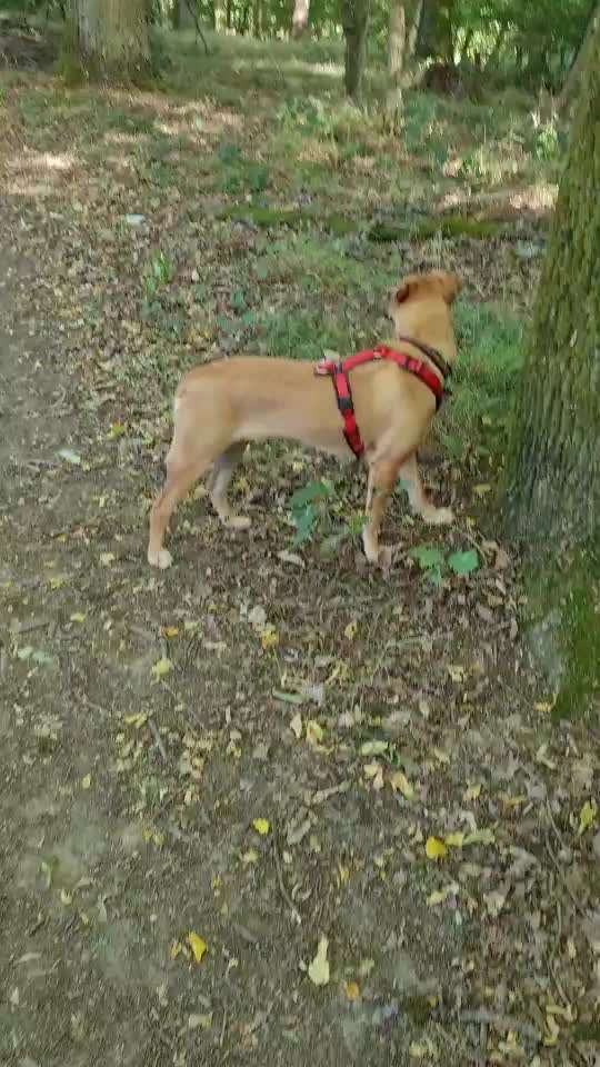 Erzählt eure Erfolgsstorys!-Beitrag-Bild