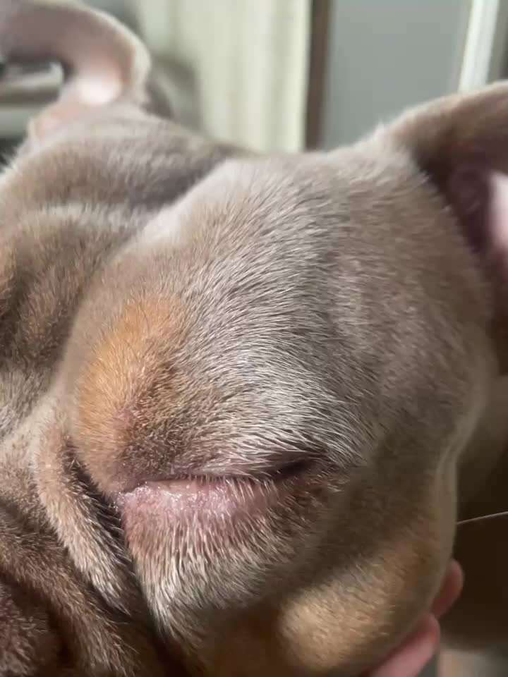 Auge verletzt , nun blau und milchig-Beitrag-Bild