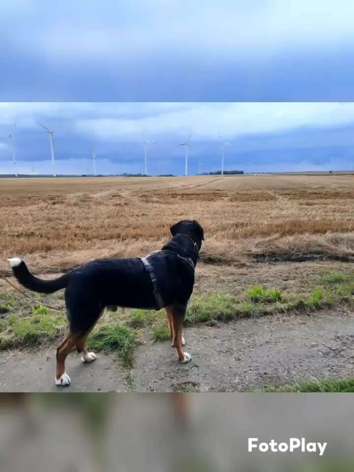 17. Kurzgeschichten Challenge: Schietwetter-Beitrag-Bild