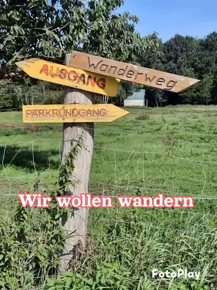 Kurzgeschichten-Challenge Nr. 18-Beitrag-Bild