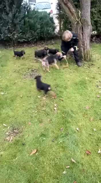 Handyvideochallenge Nr. 26 Gross und Klein-Beitrag-Bild