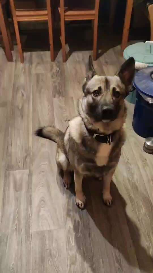 𝕋ℝ𝕀ℂ𝕂 ℂℍ𝔸𝕃𝕃𝔼ℕ𝔾𝔼 ℕℝ. 𝟙-Beitrag-Bild