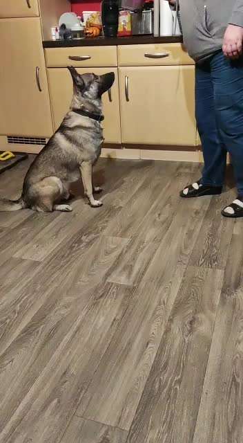 𝕋ℝ𝕀ℂ𝕂 ℂℍ𝔸𝕃𝕃𝔼ℕ𝔾𝔼 ℕℝ. 𝟚-Beitrag-Bild