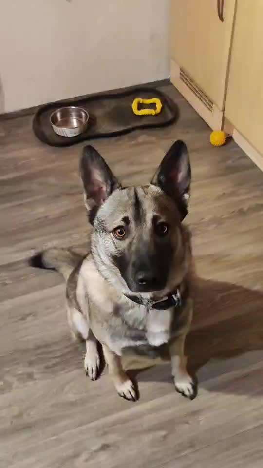 𝕋ℝ𝕀ℂ𝕂 ℂℍ𝔸𝕃𝕃𝔼ℕ𝔾𝔼 ℕℝ. 𝟙-Beitrag-Bild