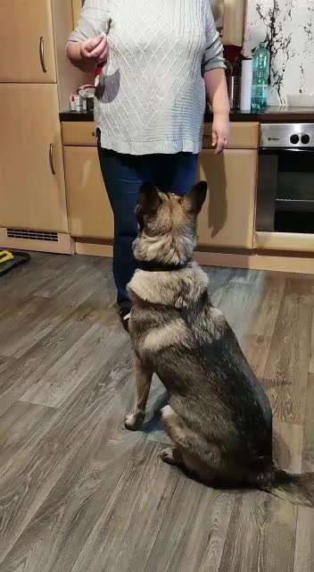 𝕋ℝ𝕀ℂ𝕂 ℂℍ𝔸𝕃𝕃𝔼ℕ𝔾𝔼 ℕℝ. 𝟙-Beitrag-Bild