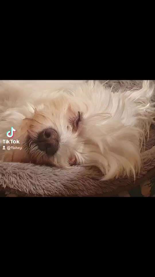 1. Kurzgeschichten Challenge  - Thema:  ...Los, aufstehen-Beitrag-Bild