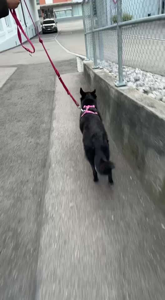 Schlaganfalls-Beitrag-Bild