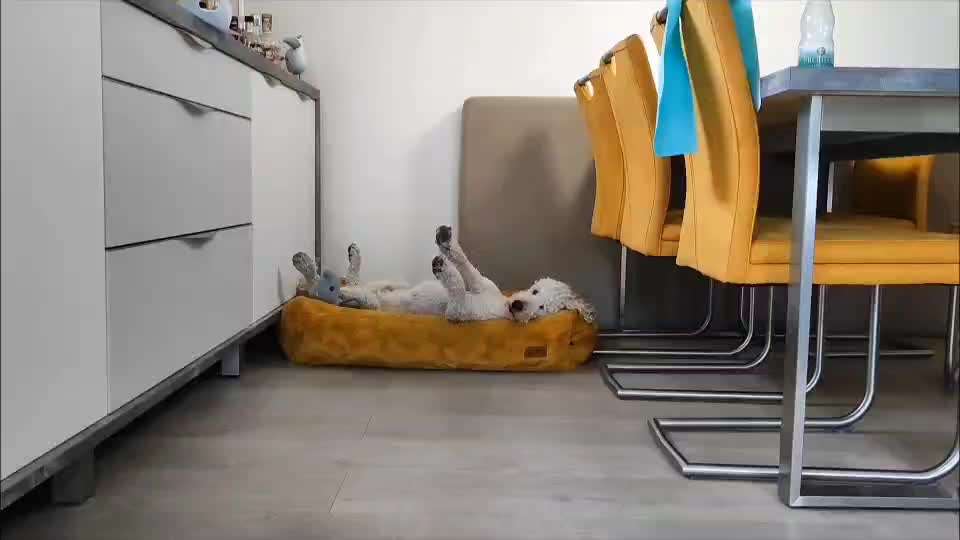 Freddys Kummerkasten-Beitrag-Bild