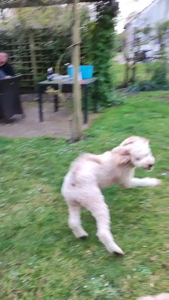 Freddys Kummerkasten-Beitrag-Bild