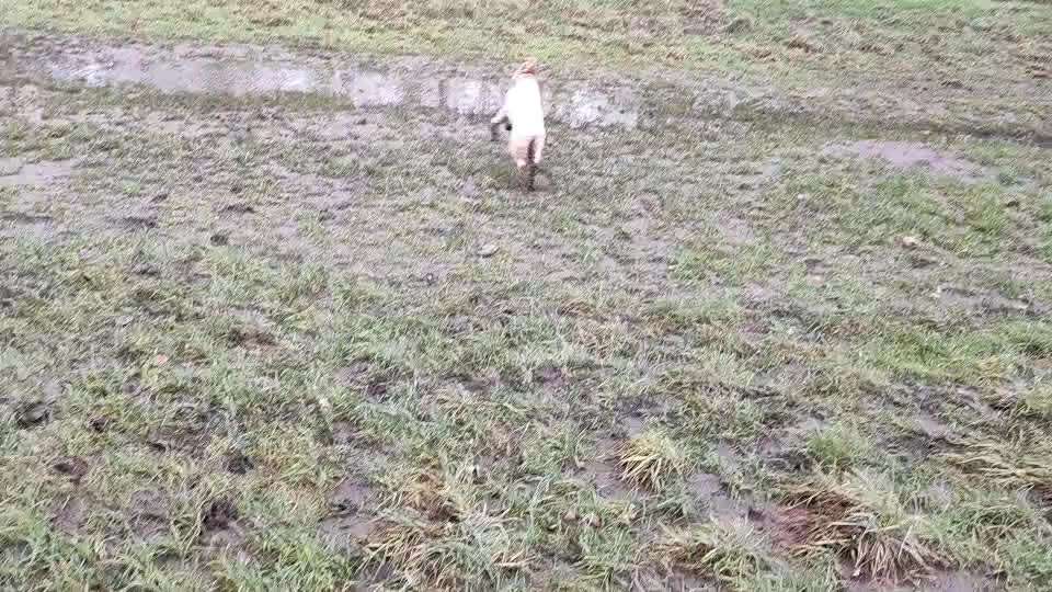 Freddys Kummerkasten-Beitrag-Bild