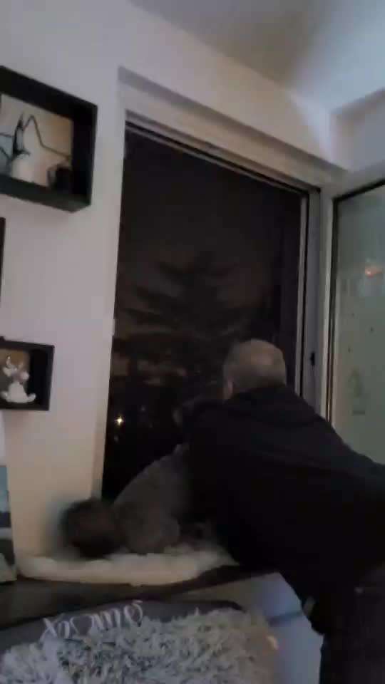 Wie habt ihr den Silvesterabend verbracht?-Beitrag-Bild